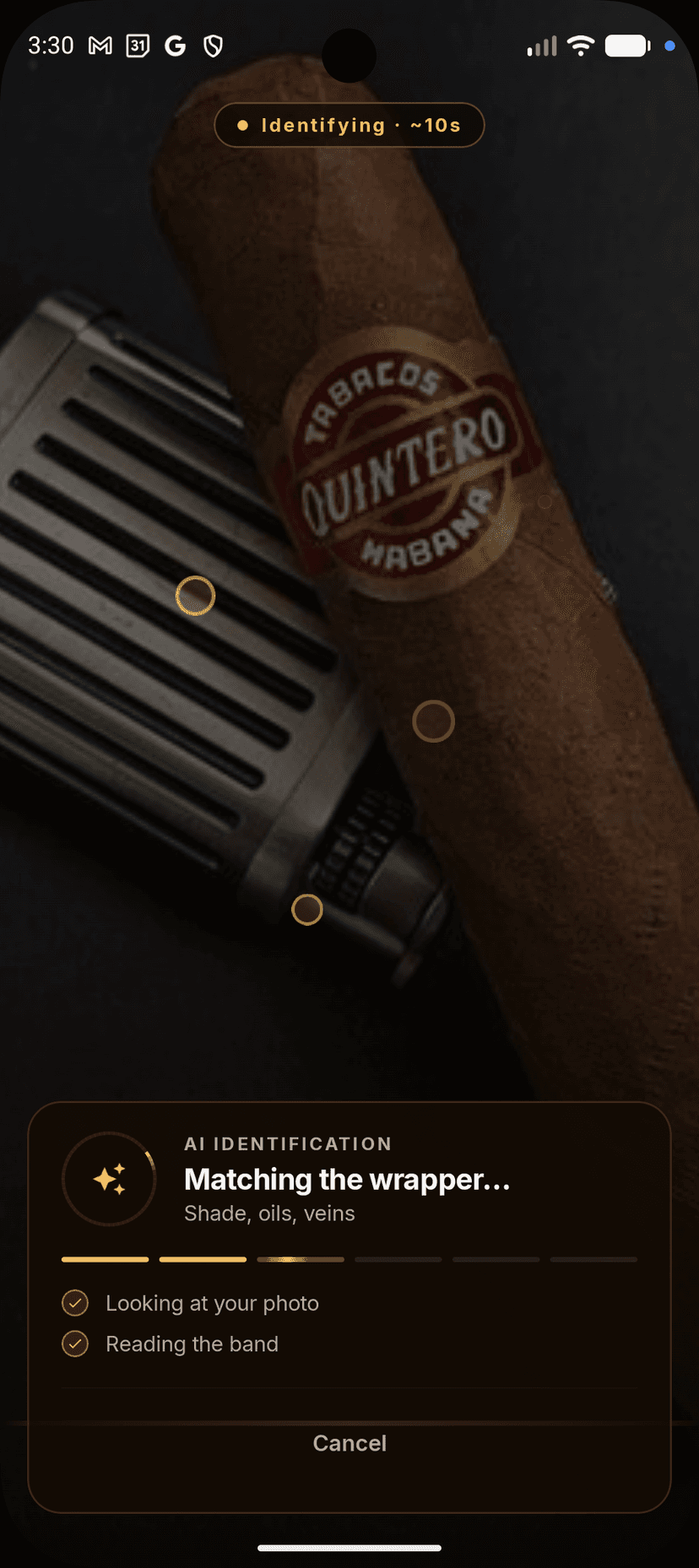 Scanning a cigar in the Cigarista app: AI identification in progress, matching the wrapper shade, oils, and veins.